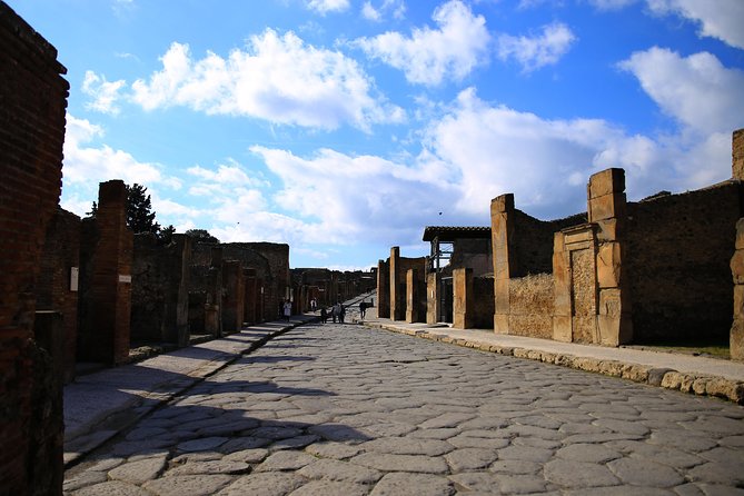 Skip-the-Line Exclusive Private Ancient Pompeii & Vesuvius Volcano Full Day Tour - Last Words