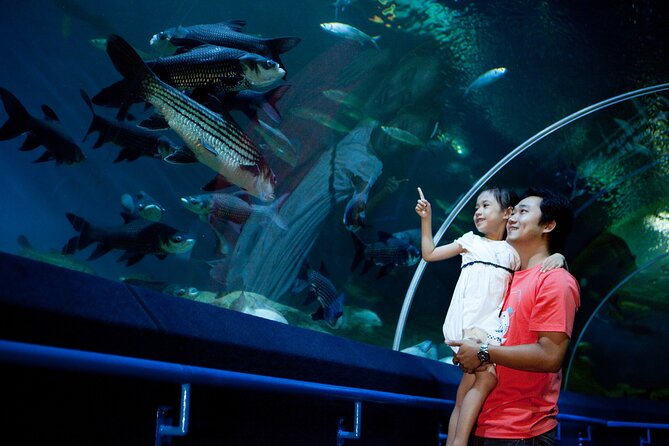 Skip the Line: Pattaya Underwater World - Exclusive Private Tour Option