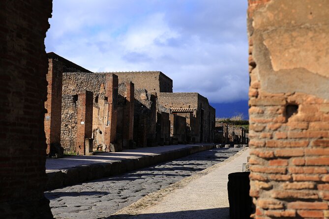 Skip the Line Pompeii Tour for Kids and Families W Special Guide - Pricing Details and Variations