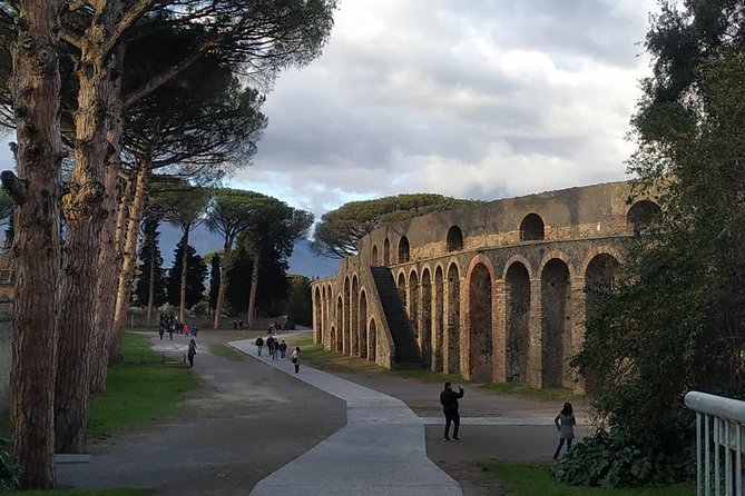 Skip the Line Private Pompeii Guided Tour - Pricing and Availability