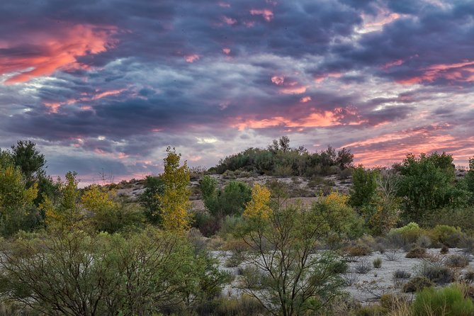 Skip the Line: Springs Preserve in Las Vegas Admission Ticket - Customer Reviews and Ratings