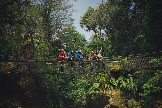 Small-Group 23-Day Hiking Tour: North and South Islands  - Auckland - Last Words