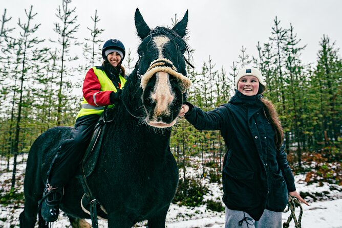 Small-Group Arctic Circle Horse Riding From Rovaniemi - Pricing and Booking Information