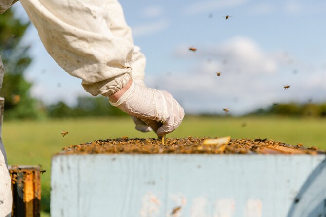 Small-Group Beekeeping Experience in Tauherenikau - Common questions