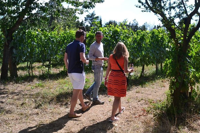 Small-Group Brunello Wine Tour of Montalcino From Florence - Last Words