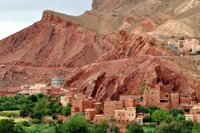 Small Group Day Tour to Ourika Valley From Marrakech - Customer Testimonials