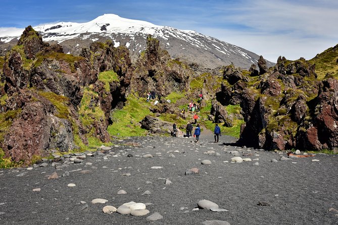 Small-Group Day Trip to Snaefellsnes National Park - Common questions