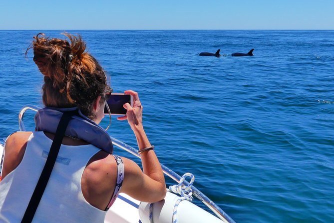 Small Group Dolphin and Wildlife Watching Tour in Faro - Last Words