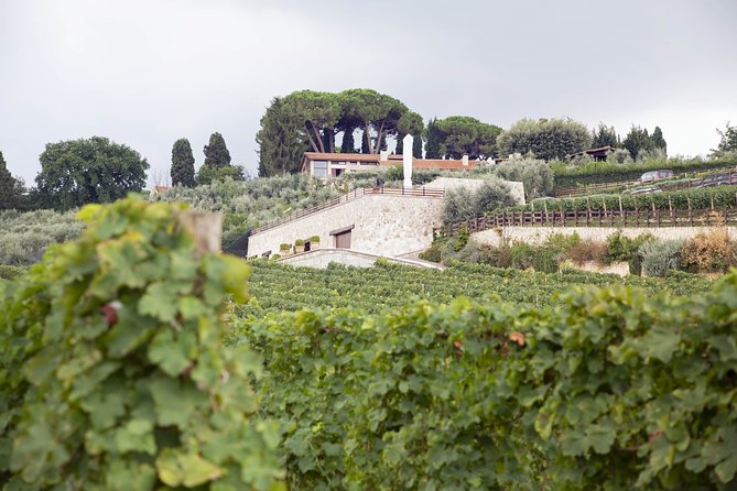 Small-Group Exclusive Winery and Wine Tasting Tour in Frascati - Common questions