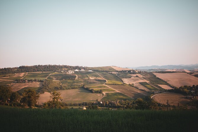 Small-Group Half-Day Wine Tour With Tasting in Dozza Village - Last Words