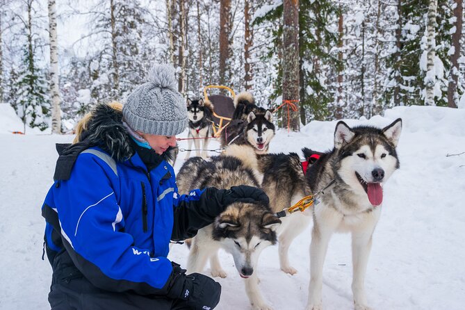 Small-Group Husky Mushing Experience in Rovaniemi - Traveler Photos