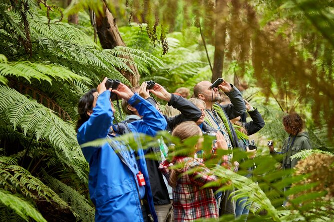 Small Group Luxe Bus Great Ocean Road Coastal Spectacular Tour - Last Words