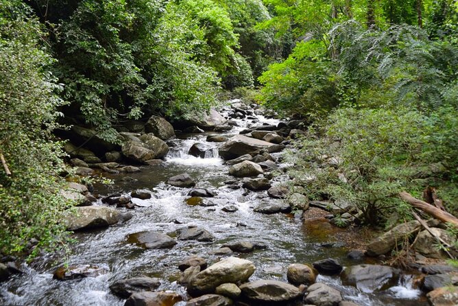 Small-Group Pala U Waterfall Jungle Tour From Hua Hin - Last Words