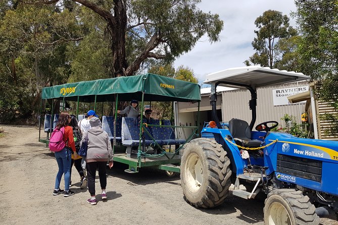 Small-Group Tractor Tour at Rayners Orchard From Melbourne - Safety Guidelines