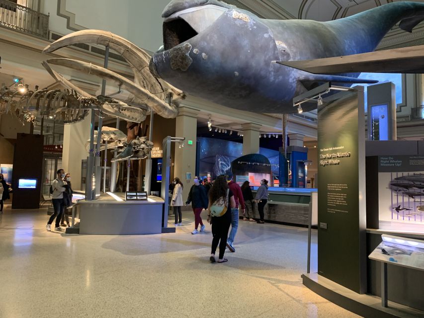 Smithsonian National Museum of Natural History Guided Tour - Common questions