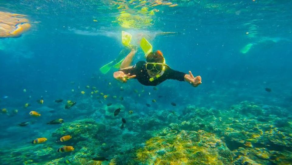 Snorkeling at Blue Lagoon and Waterfall - All Inclusive - Snorkeling Levels and Marine Life