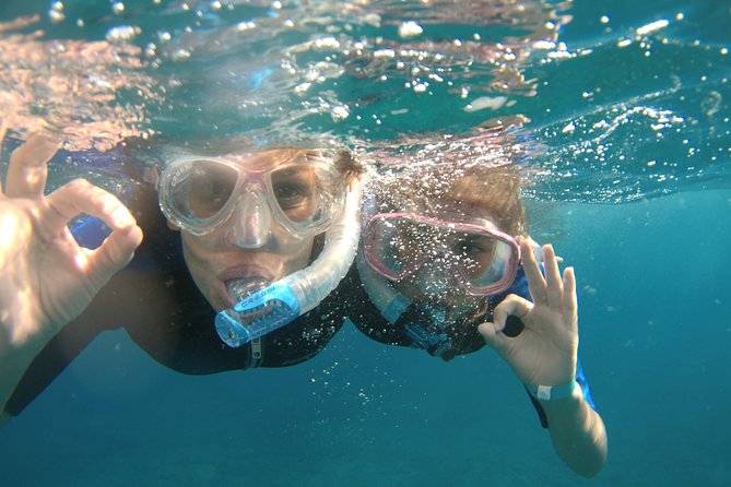 Snorkeling Experience in Santa Maria Bay by Boat - Viator Details: Booking and Support