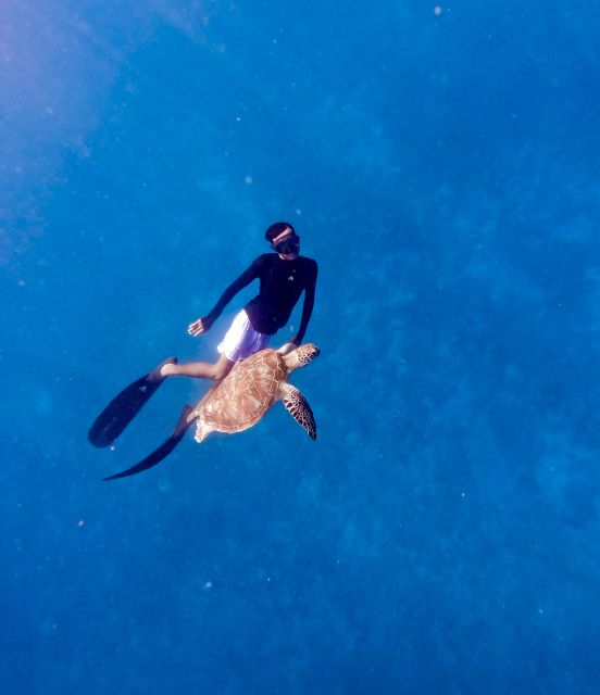 Snorkeling With Turtle and Underwater Statue in Gilis - Swim With Turtles