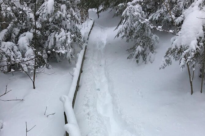 Snowshoe Awenda Provincial Park on Beautiful Georgian Bay - Safety Tips