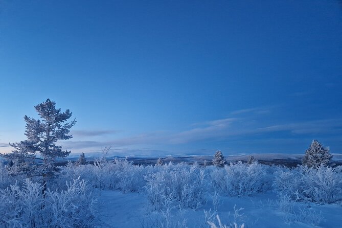 Snowshoe up a Mountain - Last Words