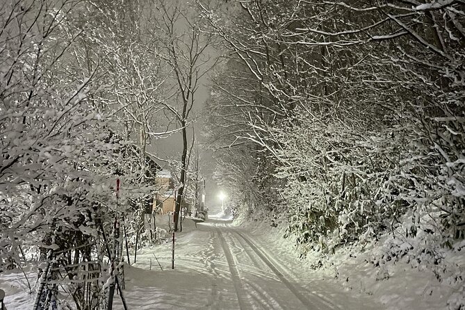 Snowshoeing Adventures in a Winter Wonderland - Sapporo - Last Words