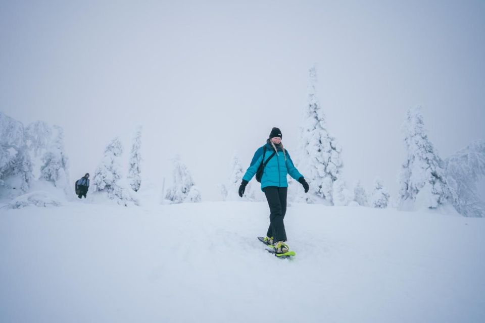 Snowshoeing in the Frozen Forest - Common questions