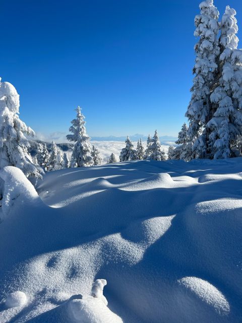 Snowshoeing in Vancouvers Winter Wonderland - Experience Vancouvers Winter Wonderland