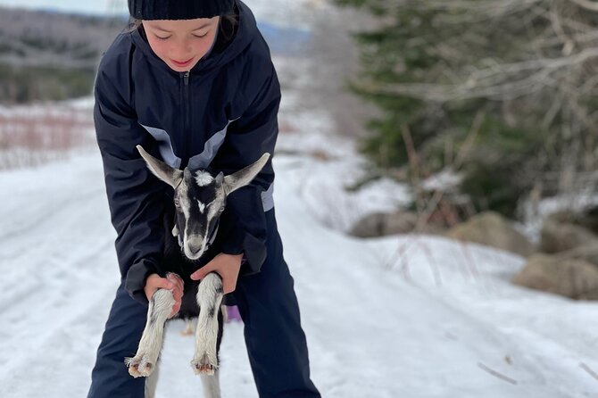 Snowshoeing With Mountain Goats Private Activity - Directions for Snowshoeing Tour