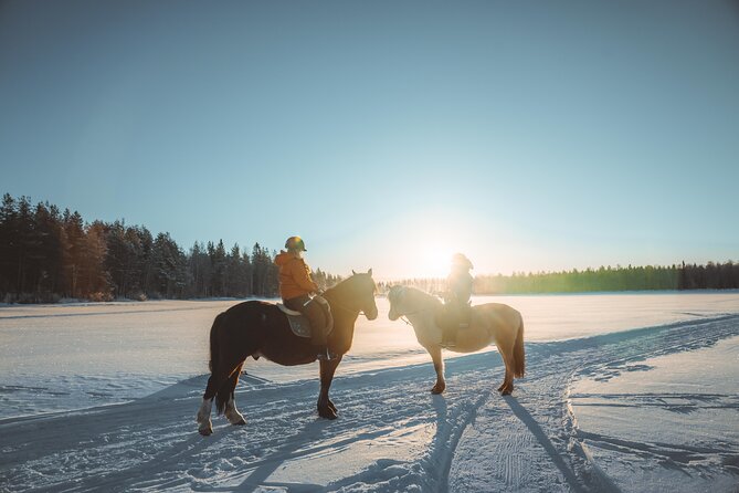Snowy Nature on Horseback in Apukka Resort, Rovaniemi - Pricing and Additional Information