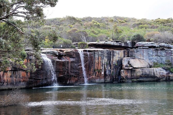 South Coast Day Tour, Blowholes, Lookouts, Bridge and Rainforest - Common questions