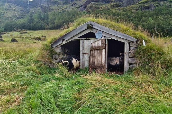 South Coast Iceland: Small-Group Tour From Reykjavik - Common questions