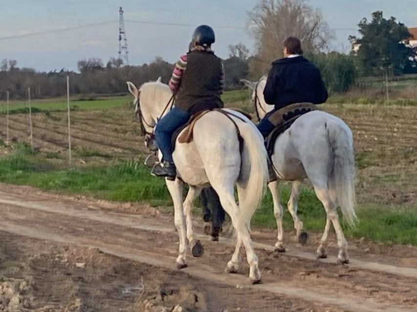 Southwest Alentejo Natural Park With Horse Experience - Common questions