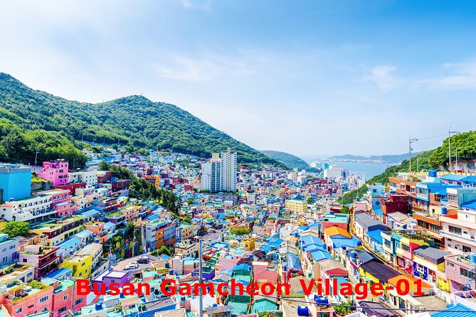 Sparkling of Korea 8days 7nights Temple Stay and KTX Train - Optional Excursions