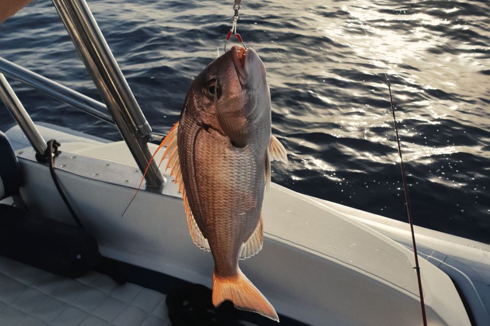 Split: Half-Day Fishing Tour to Drvenik and Solta Island - Last Words