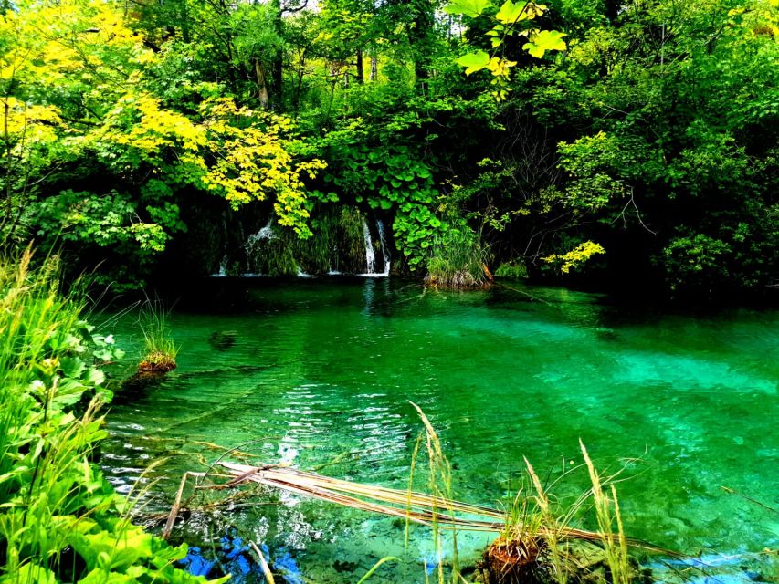Split: Plitvice Lakes Guided Day Tour With Entry Tickets - Weather Forecast Check