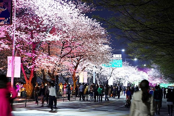 Spring 4 Days Seoul&Mt Seorak Cherry Blossom With Nami & Everland on 7 to 14 Apr - Additional Tour Information