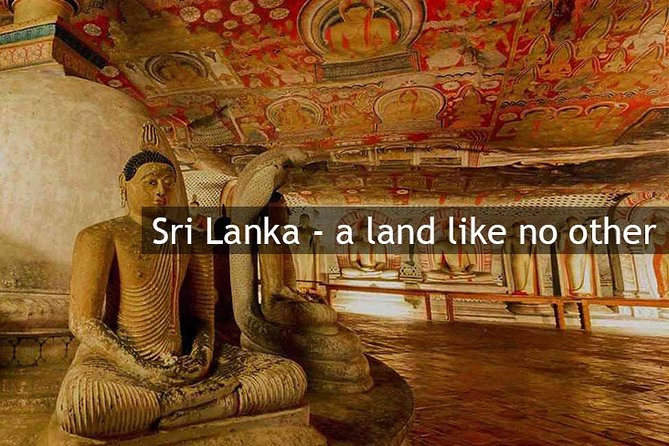 Sri Lanka Private Custom Driver Service Up To 14 Days  - Colombo - Travel Tips