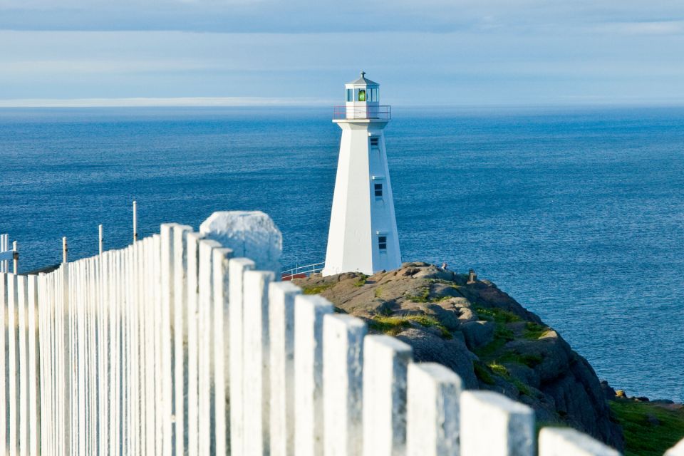 St Johns: Small Group Guided Tour by Car - Booking Details