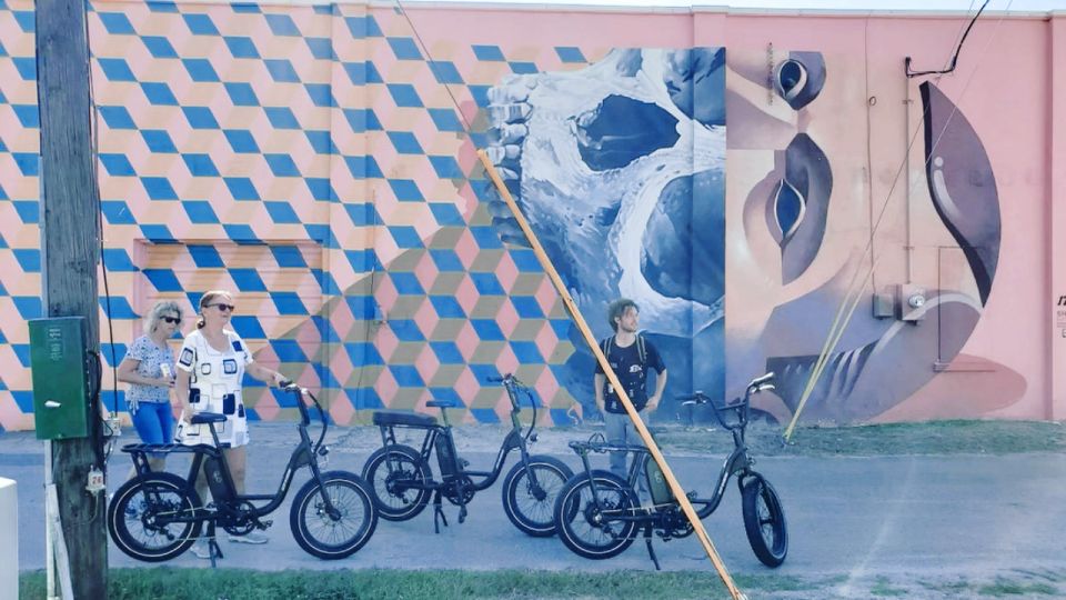 St. Petersburg, FL: Sightseeing & Murals Electric Bike Tour - Common questions