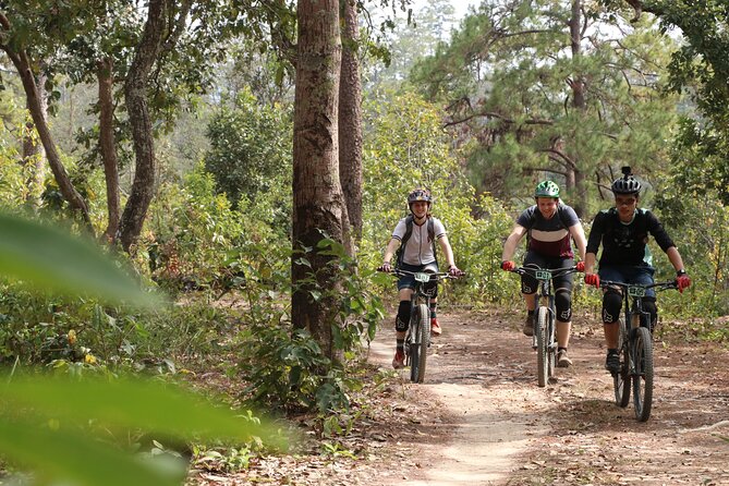 Stairway to Heaven Trail Mountain Biking Tour Chiang Mai - Reviews and Ratings
