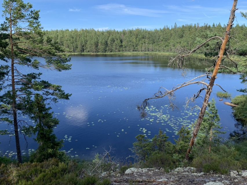 Stockholm: Evening/Sunset Hike in Tyresta National Park - Additional Details