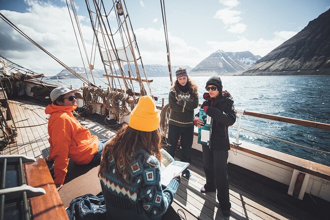 Studying Whales and Wildlife Experience in Skjalfandi Bay - Weather-Dependent Activity