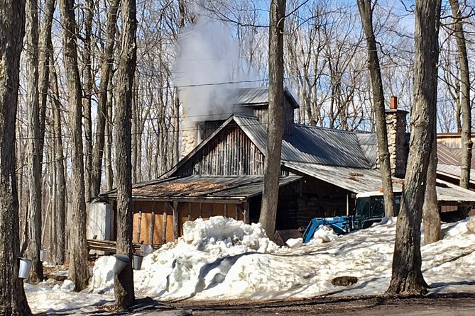 Sugar Shack (Feb to May) Maple Syrup Private Day Tour With Lunch From Montreal - Last Words