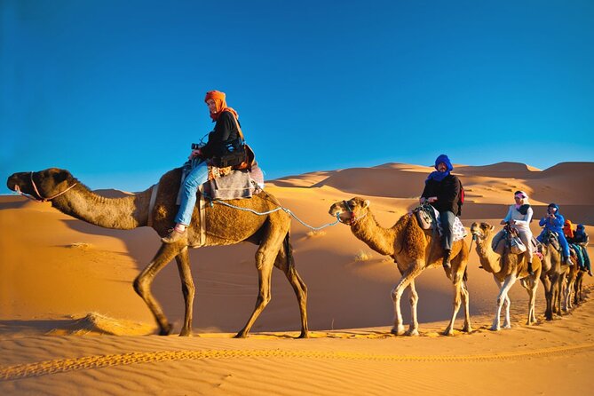 Sunrise Desert Safari With Quad Biking and Camel Riding in Dubai - Quad Biking