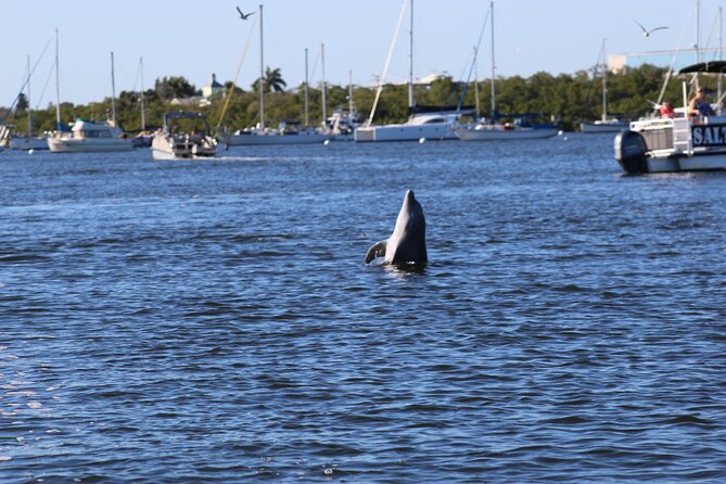 Sunset and Dolphin Tour, Fort Myers Beach and Sanibel Lighthouse - Common questions