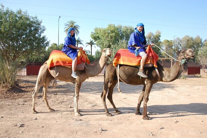 Sunset Camel Ride In Marrakech Palm Grove - Last Words