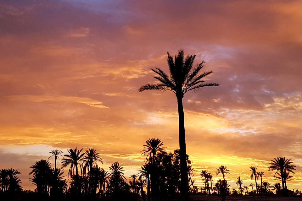 Sunset Camel Ride in the Marrakech Palmeraie - Sunset Camel Ride Experience