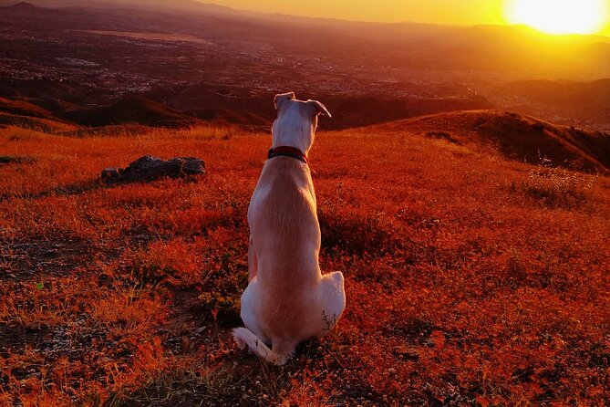 Sunset Hike & Summit Sierra Nevada With Pooch - Post-Hike Tips for You and Your Pooch