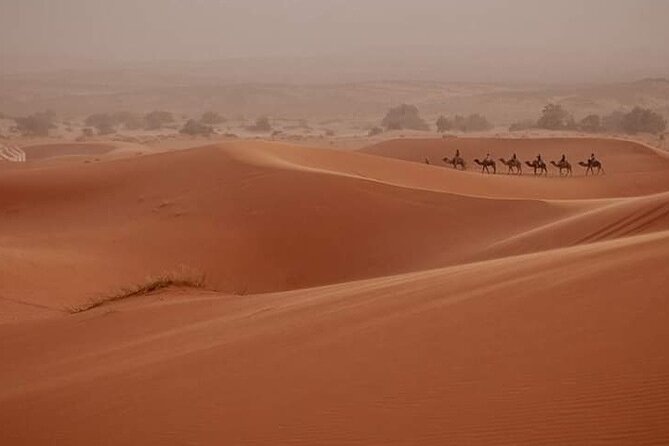 Sunset in Merzouga Sahara Desert & Camel Ride Erg Chebbi Dunes - Common questions