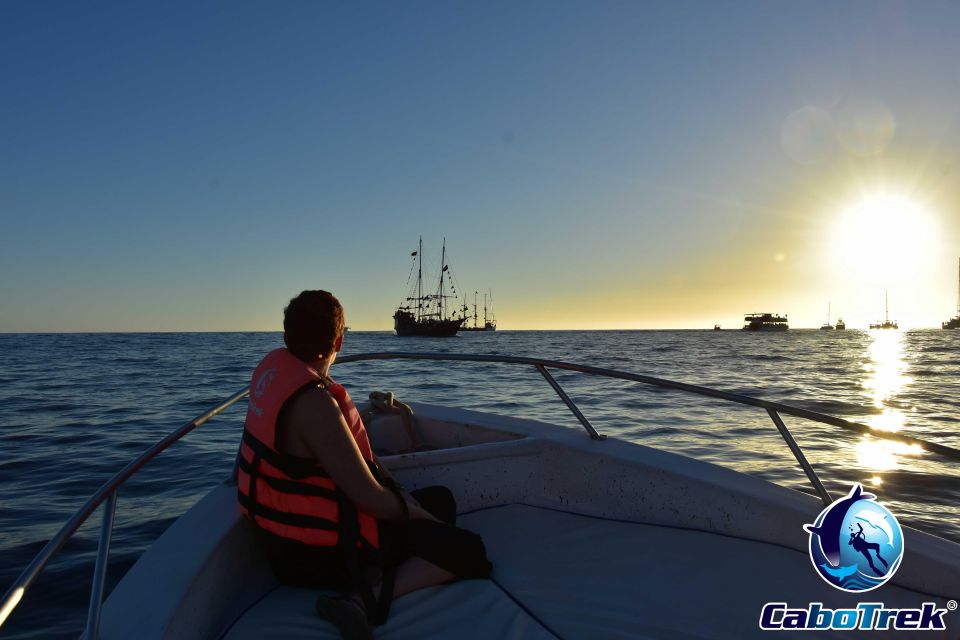Sunset Whale Watching Cruise in Cabo San Lucas - Common questions